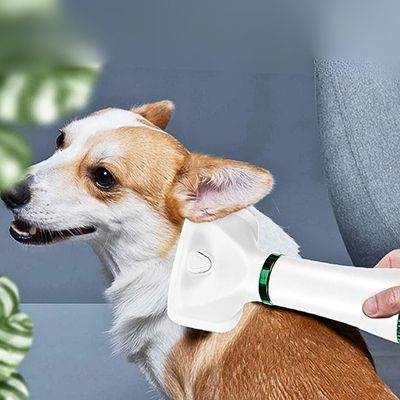 brosse chien pratique