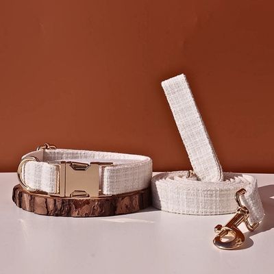 collier-pour-chien-luxe-creme