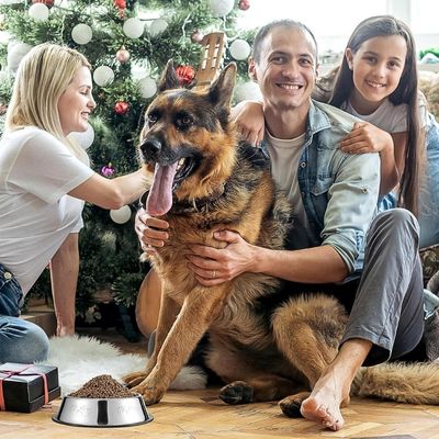 gamelle-inox-chien-noel