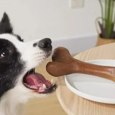 jouet-chien-gencives