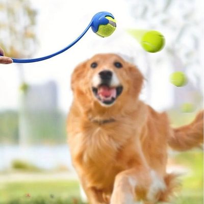 lanceur-de-balle-pour-chien-plaisir