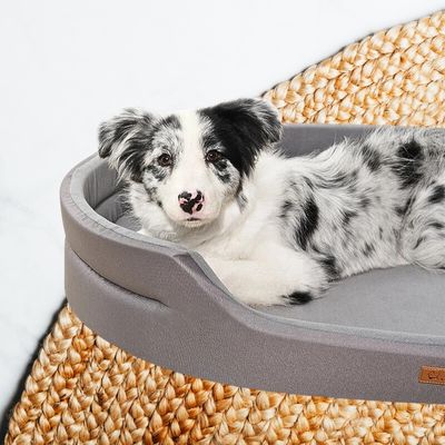 panier-pour-chien-doux