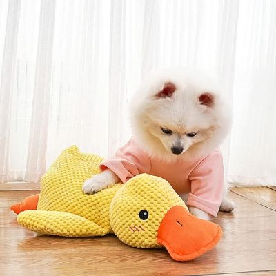 peluche-pour-chien-amusement