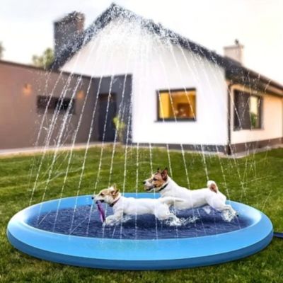 piscine-pour-chien-jeu