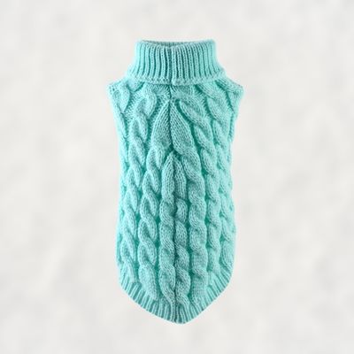 pull-chien-chaud