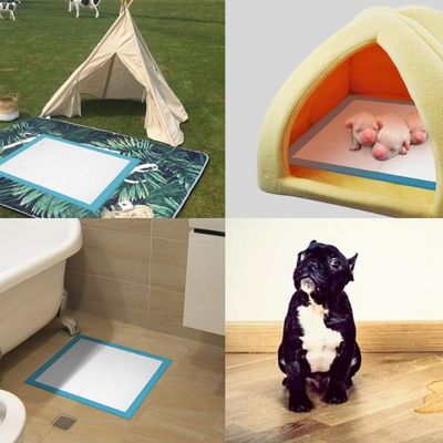 tapis-absorbant-chien-pipi