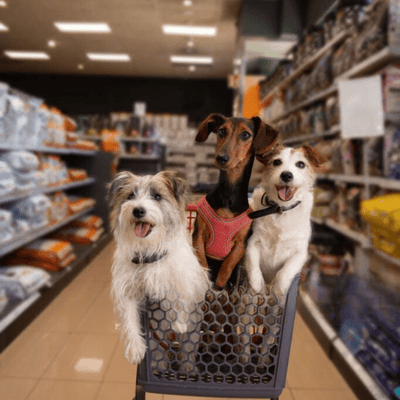 TOUS NOS PRODUITS - Wouf chien