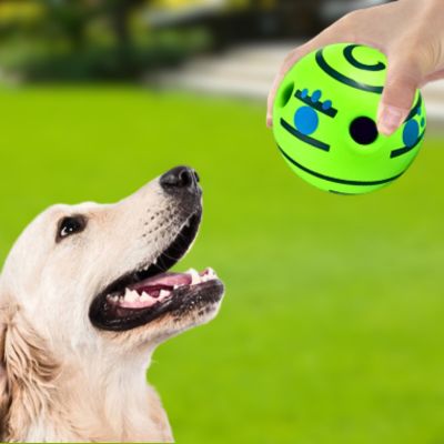balle-chien-amusement