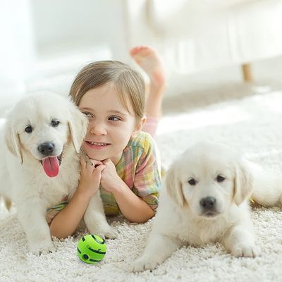 balle-chien-famille