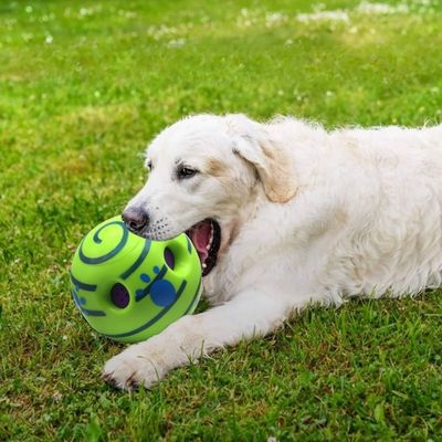 balle-chien-grande