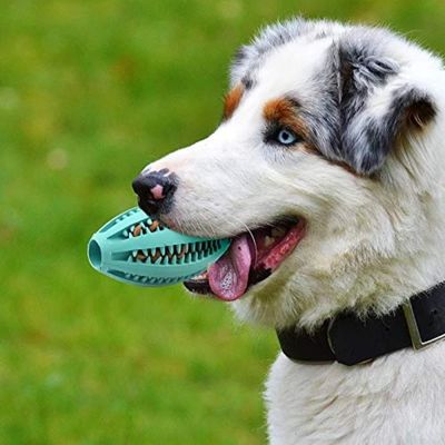 balle-interactive-chien-anxiete