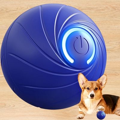 balle-pour-chien-modele