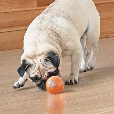 balle-pour-chien-plaisir
