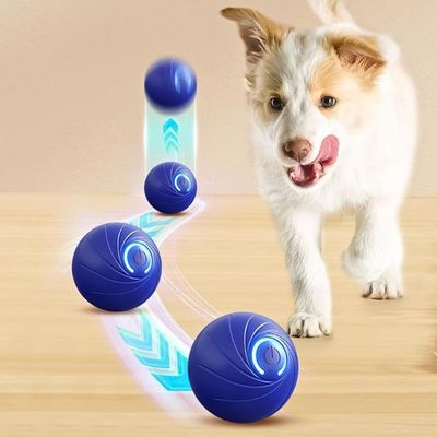 balle-pour-chien-rebond