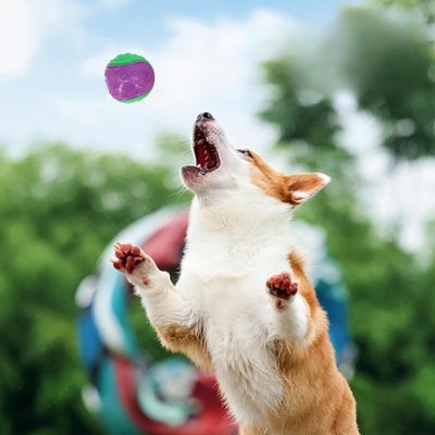 balle-pour-chien-saut