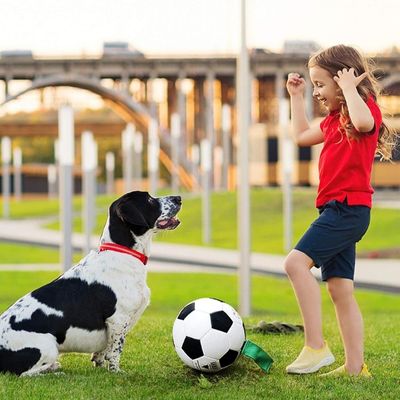 ballon-pour-chien-amusement