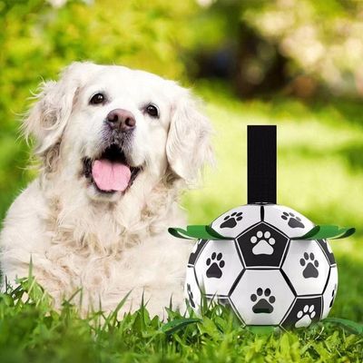 ballon-pour-chien-exterieur