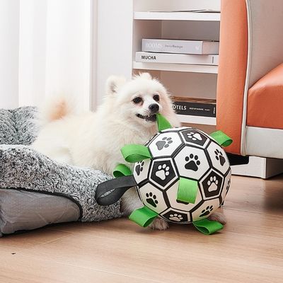 ballon-pour-chien-interieur