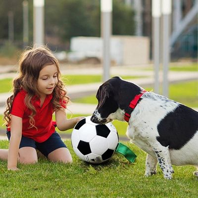 ballon-pour-chien-lien