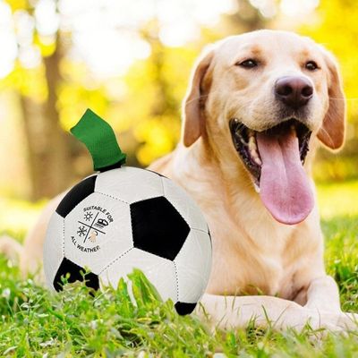 ballon-pour-chien-soccer