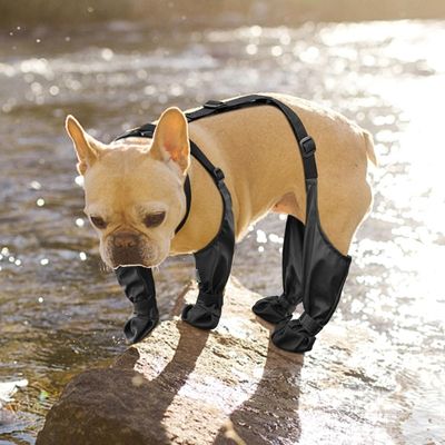 bottes-pour-chien-confort