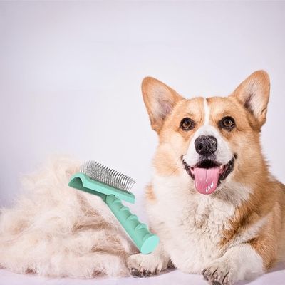 brosse-a-chien-mort