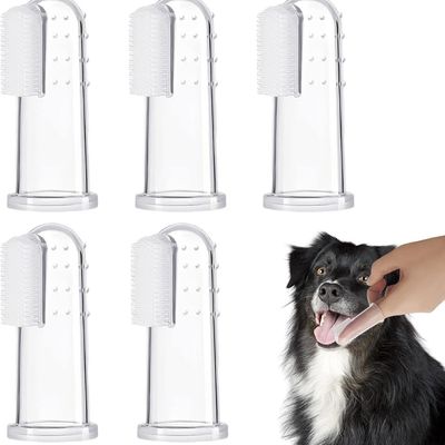 brosse-a-dent-chien-cinq