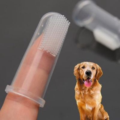 brosse-a-dent-chien-haleine