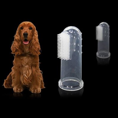 brosse-a-dent-chien-nettoyage