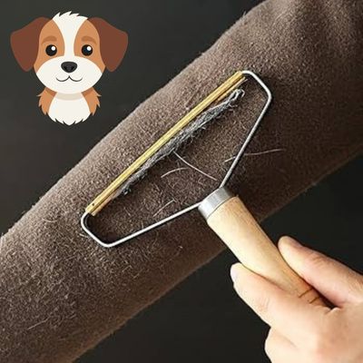 brosse-anti-poils-chien