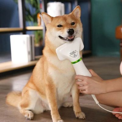 brosse-chien-sechoir