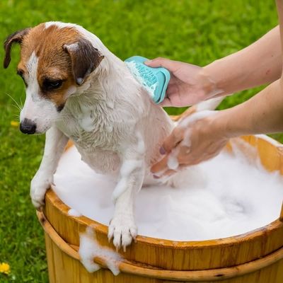 brosse-de-bain-pour-chien-cuve