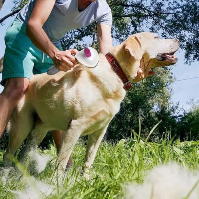 brosse-pour-chien-leger