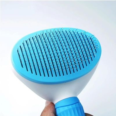 brosse-pour-chien-pics