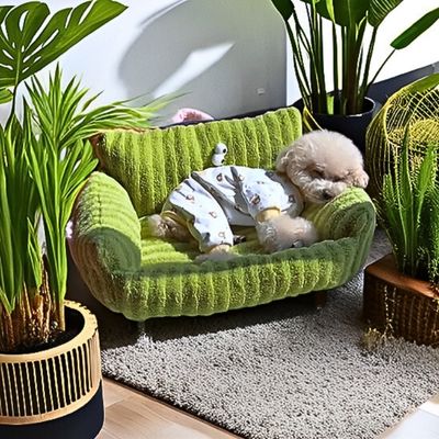 canape-pour-chien-sieste