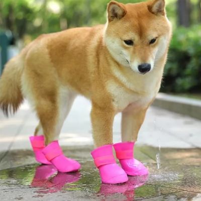 chaussure-pour-chien-rose