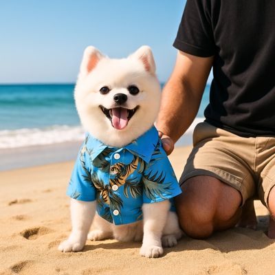 chemise-pour-chien-mer