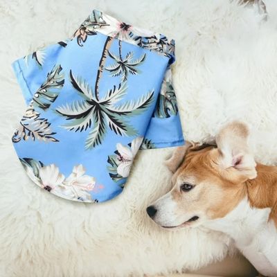 chemise-pour-chien-style