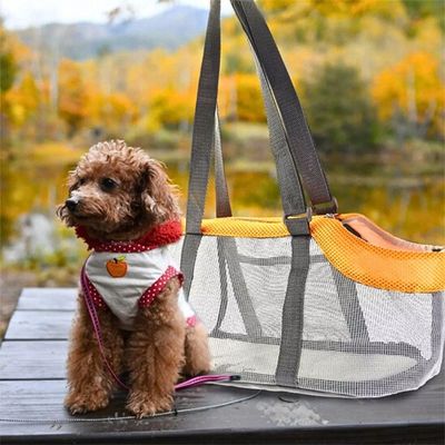 chien-sac-de-transport-1-automne