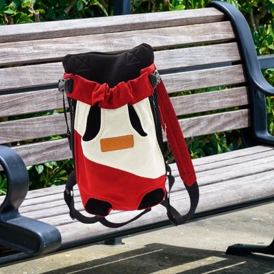chien-sac-de-transport-banc