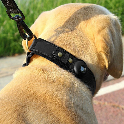 collier chien gps noir