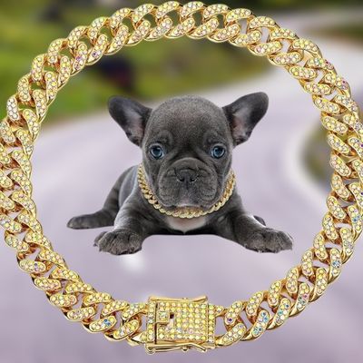 collier-chien-or