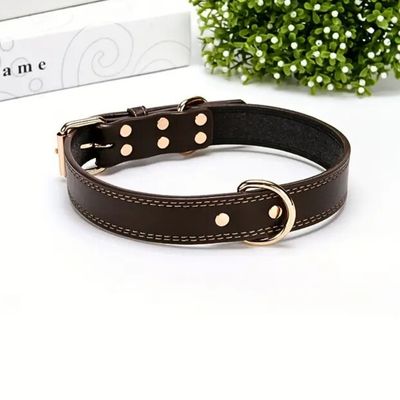 collier-cuir-chien-arbre