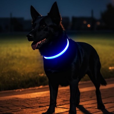 collier lumineux chien bleu