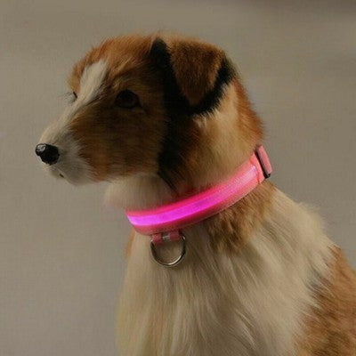 collier lumineux chien rose