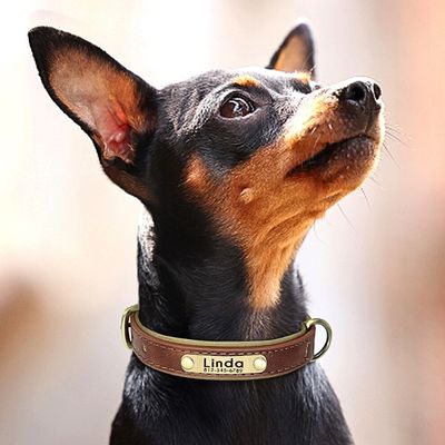 collier-personnalise-chien-linda