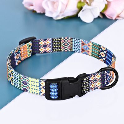 collier-pour-chien-bleu