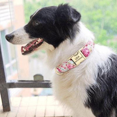 collier-pour-chien-personnalise-pivoine