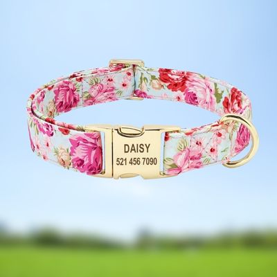 collier-pour-chien-personnalise-tissu