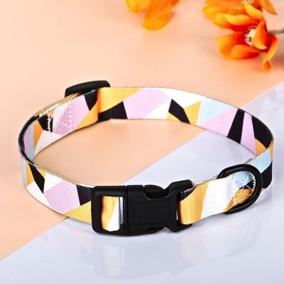 collier-pour-chien-soyeux